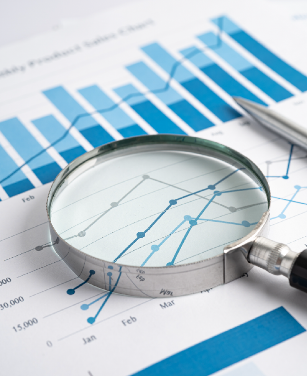 საგადასახადო აუდიტი